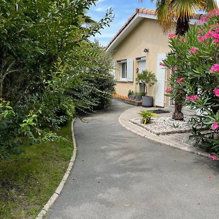 Villa Proche Arcachon, Dune, Plages La Teste-de-Buch Exterior photo